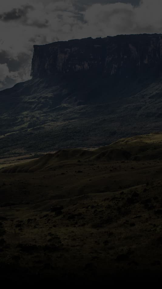 first bg