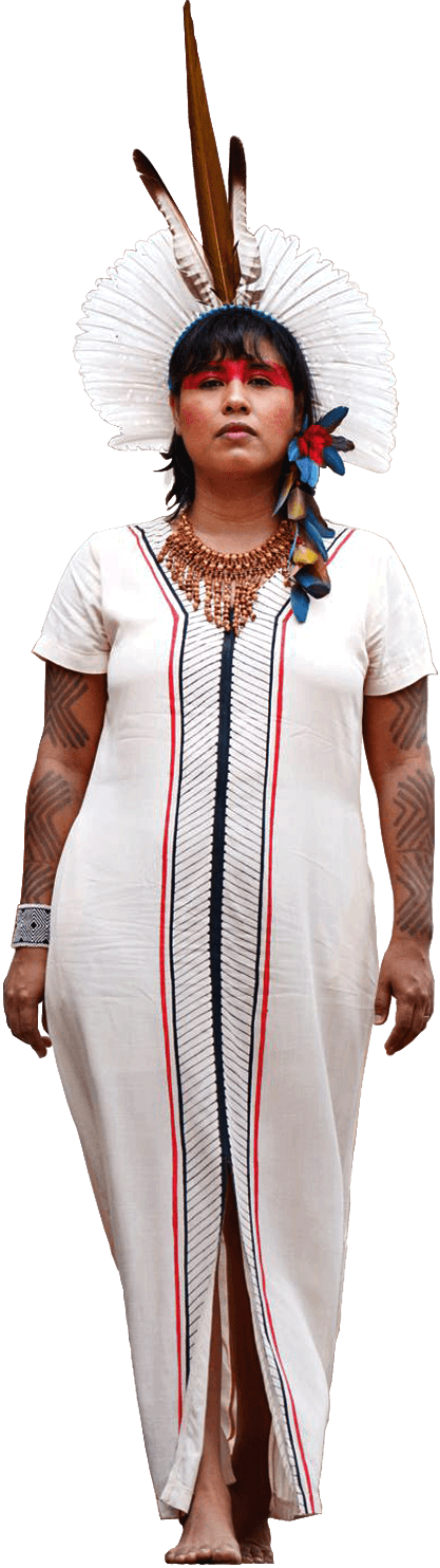Craft dress picture