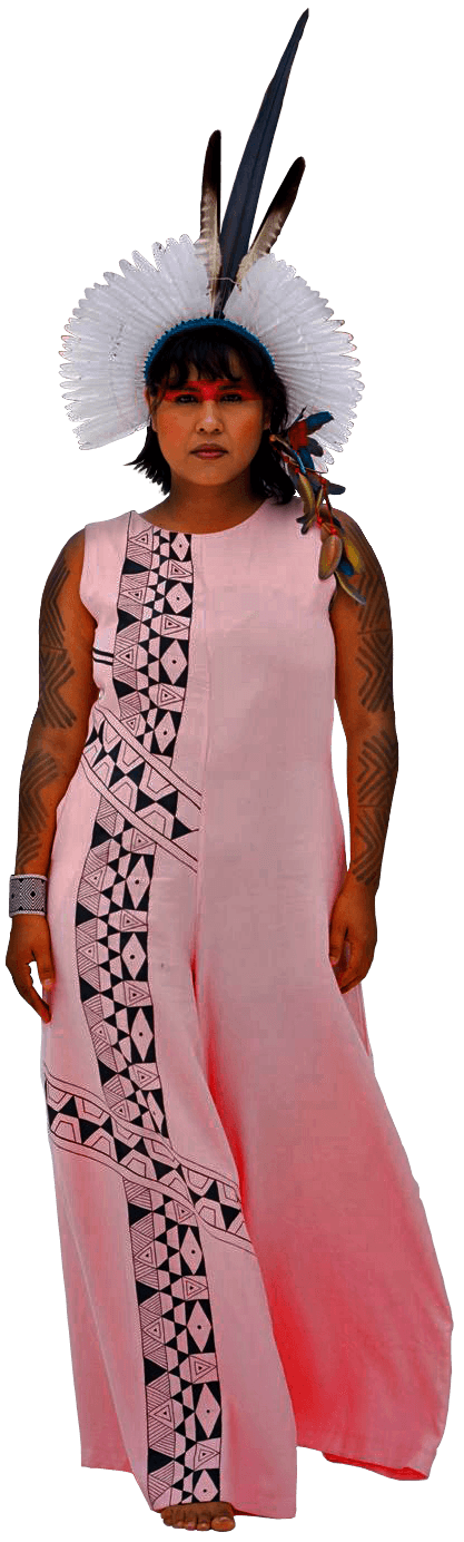 Main Header dress picture